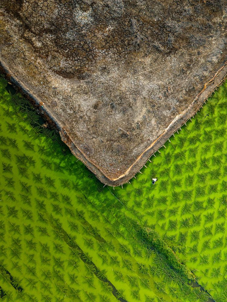 Photograph by Vu Khoa Nguyen Khanh