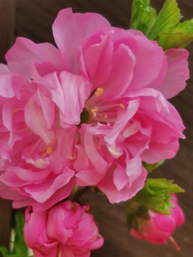 Фотография автора Екатерина