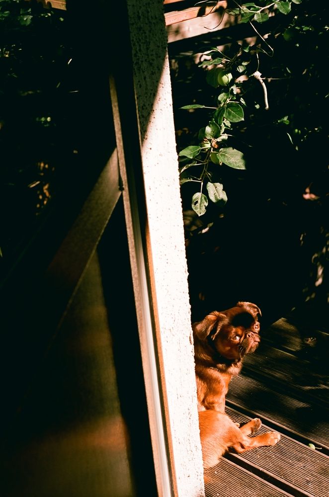 Photograph by Misha Khazov