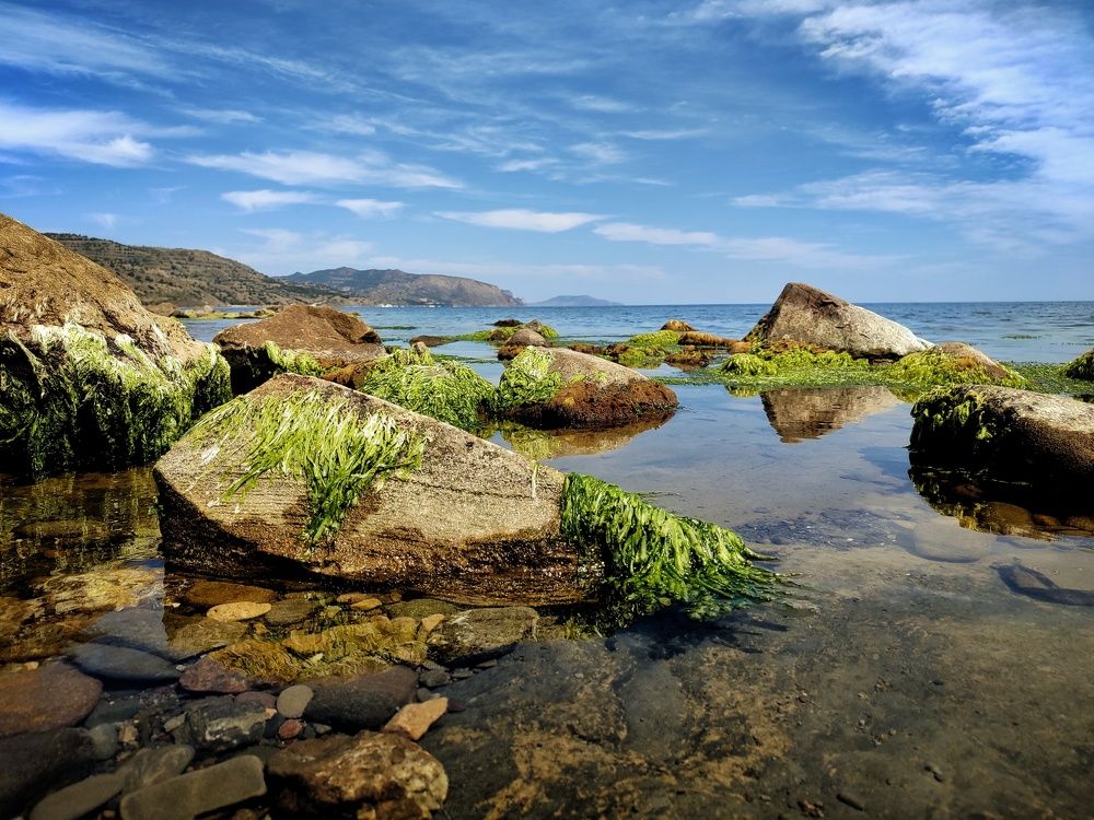 Photograph by Дмитрий