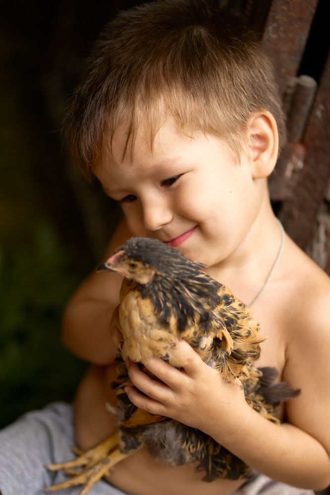 Леопардик и его любовь