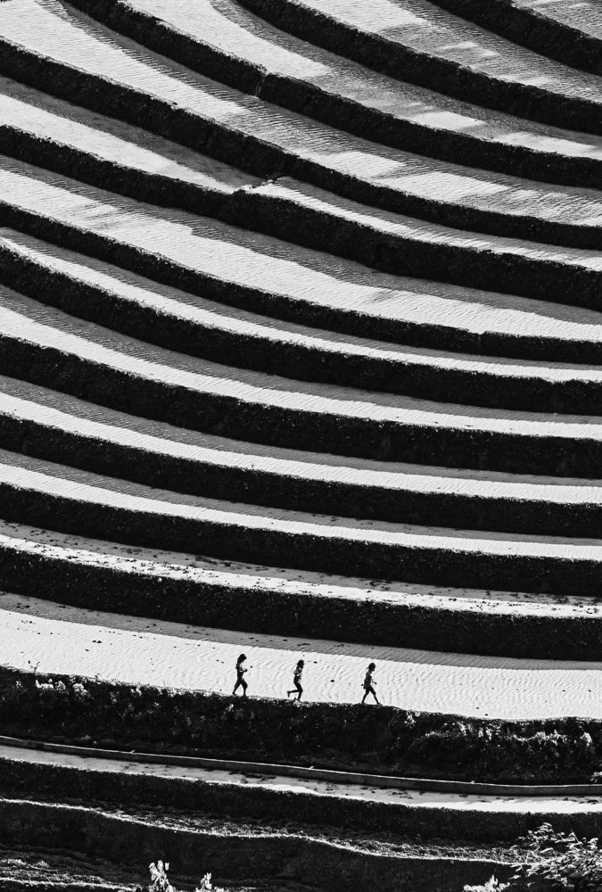 Photograph by Vu Khoa Nguyen Khanh