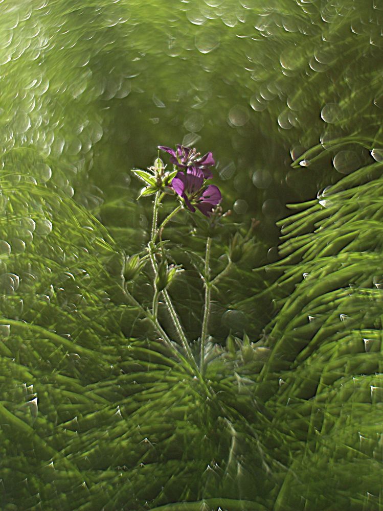 Photograph by Евсеева Валентина