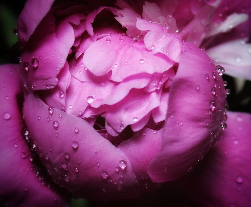 Photograph by Татьяна Сычёва