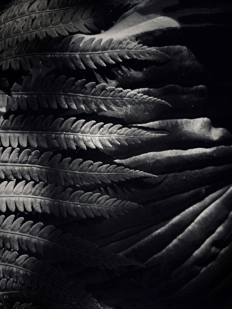 Photograph by Ксения Березкина