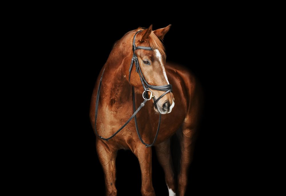 Photograph by Кристина Горковская