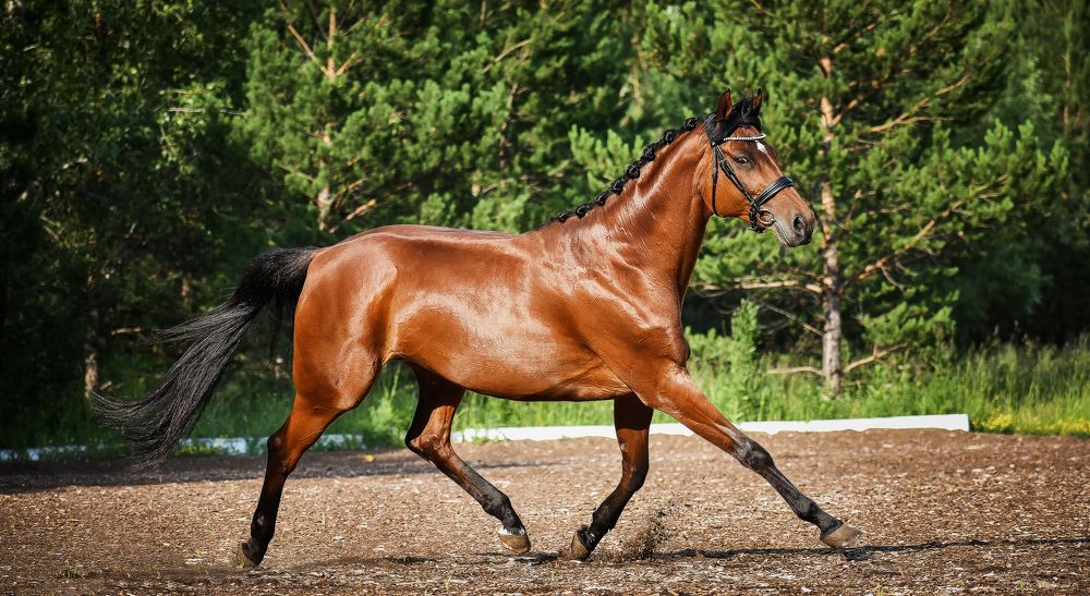 Photograph by Кристина Горковская