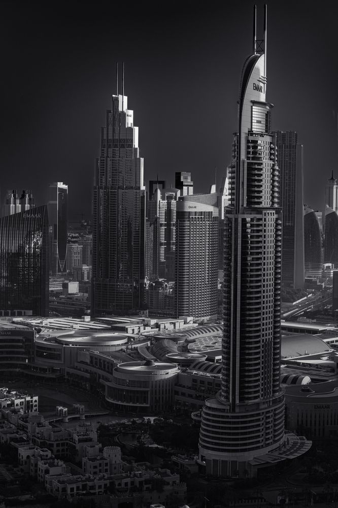 Фотография автора Talal Abodeshish