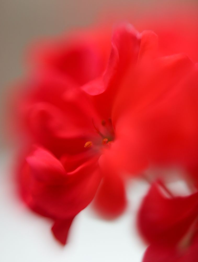 Photograph by Натали Кытманова