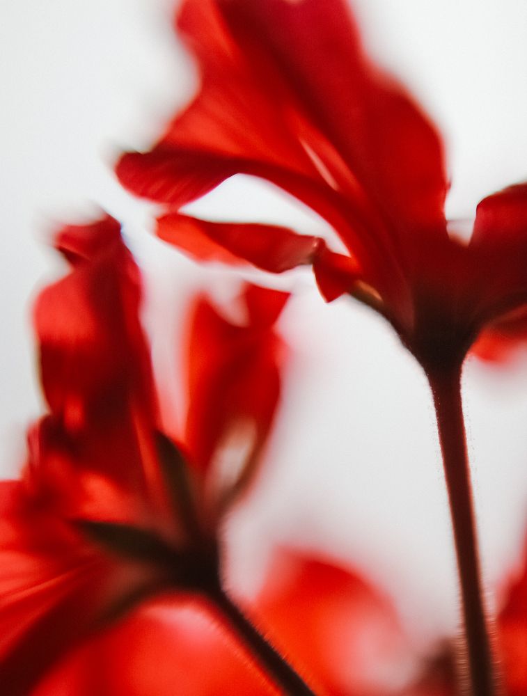 Photograph by Натали Кытманова