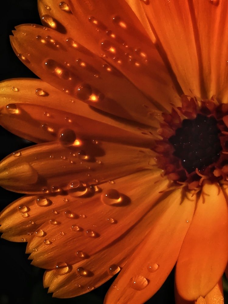 Photograph by Елена Артёменко