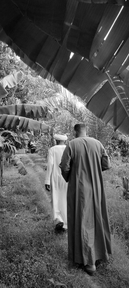 Photograph by Laila El Ghazazly