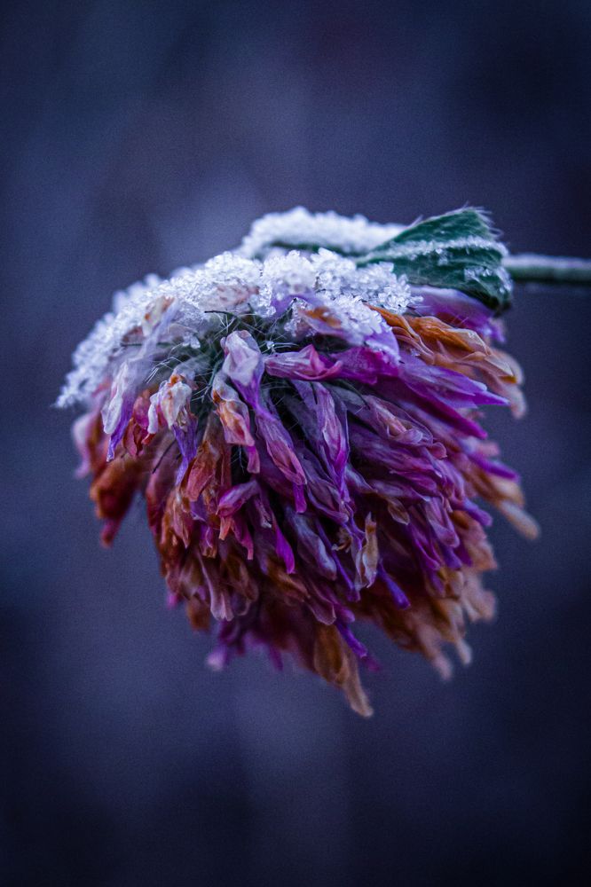 Photograph by Анна Осинцева