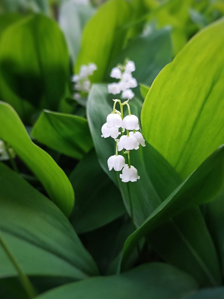 Photograph by Кристина Панченко