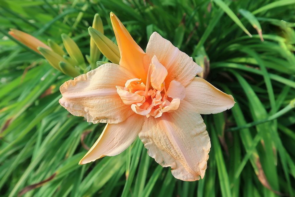 Photograph by Нина