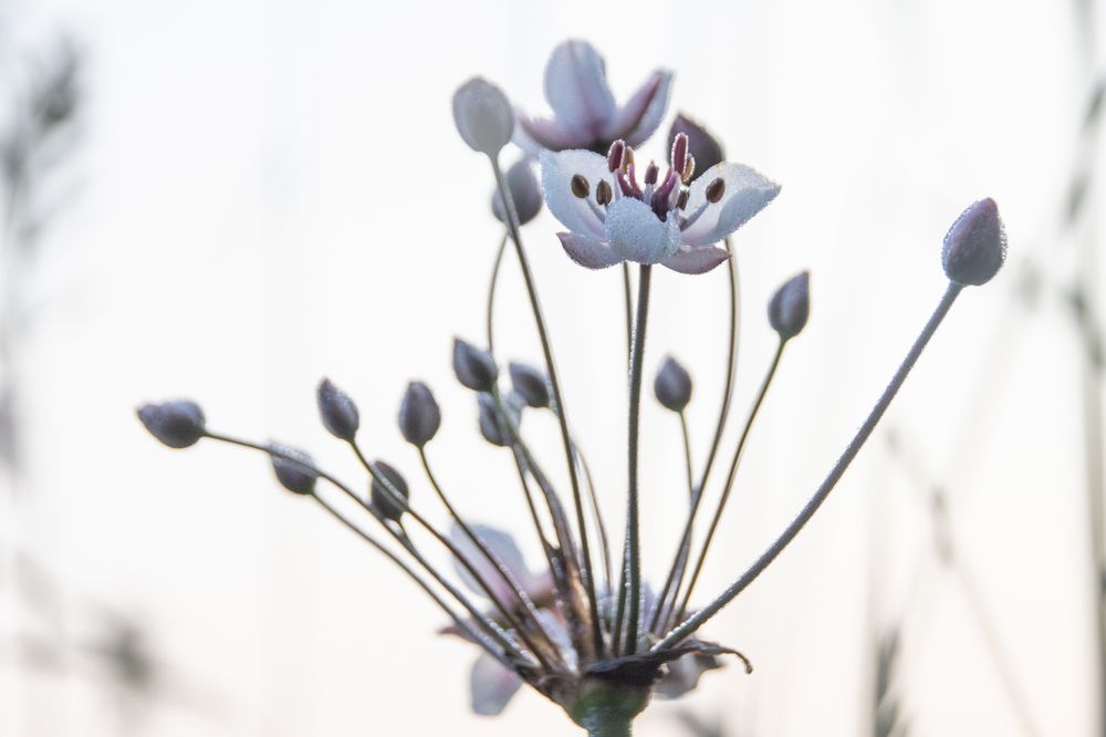 Photograph by Татьяна Романова