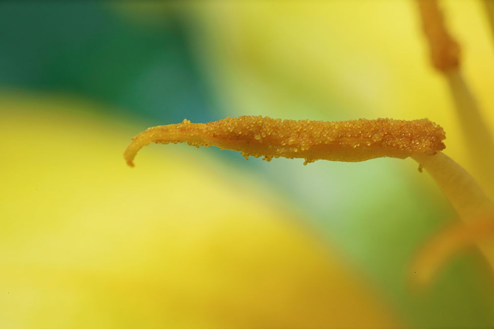 Photograph by Nguyen Hai Duong