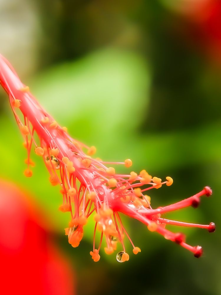 Photograph by Márcio Garcia