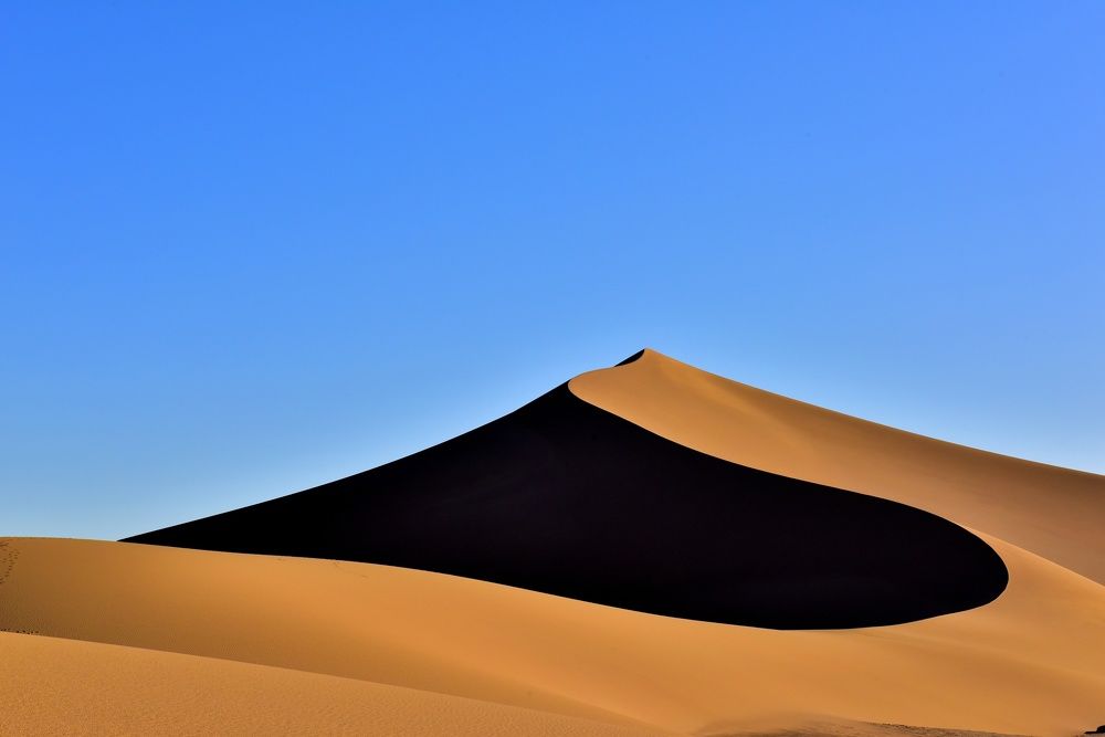 Photograph by ali mehrdadnya