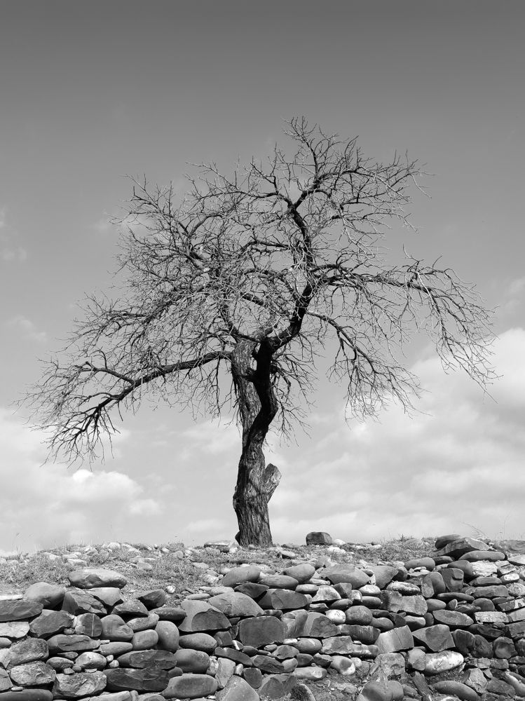 Photograph by Зорин Миша