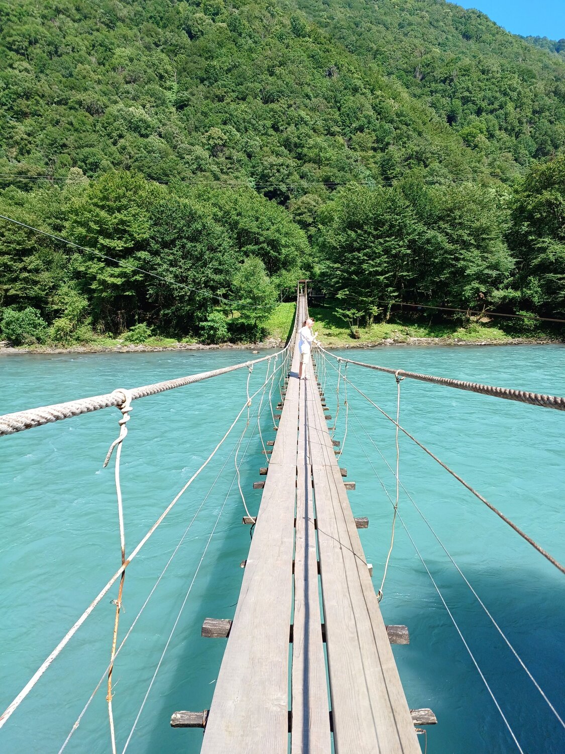 Photo #10885843