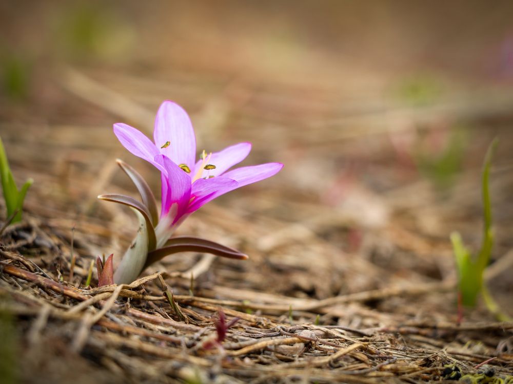 Photograph by Hamid espanani