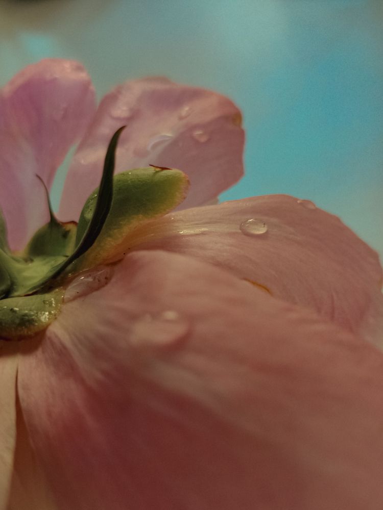 Фотография автора Татьяна Шахова