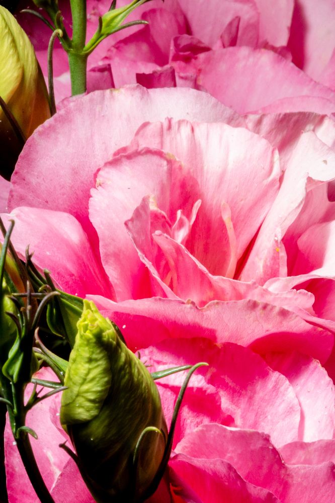 Photograph by Князев Сергей