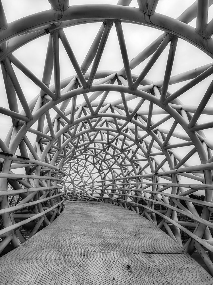 Photograph by Hamid espanani