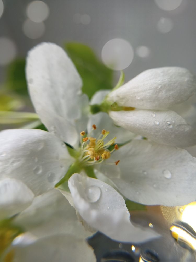 Фотография автора Татьяна Шахова