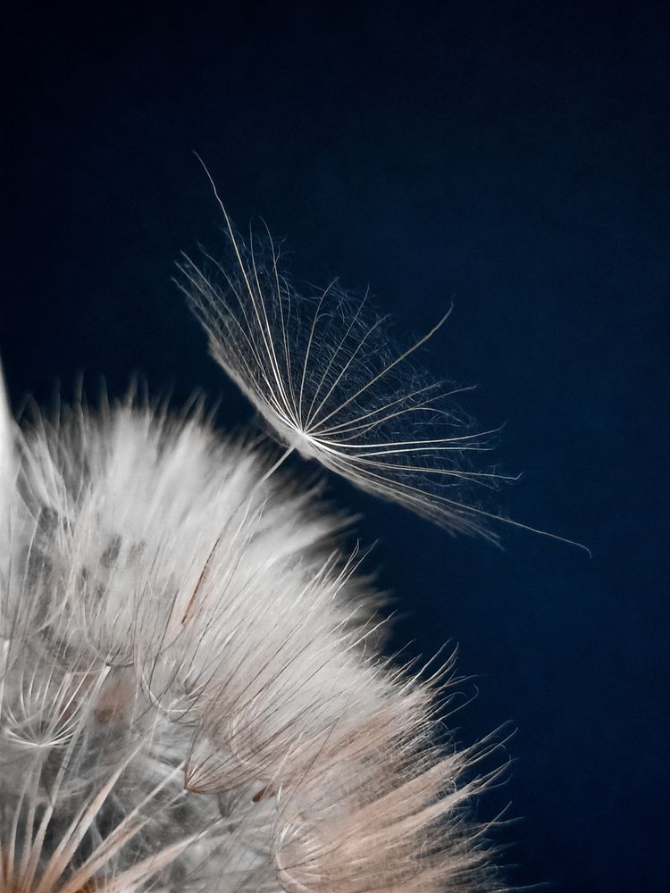 Фотография автора Татьяна Шахова