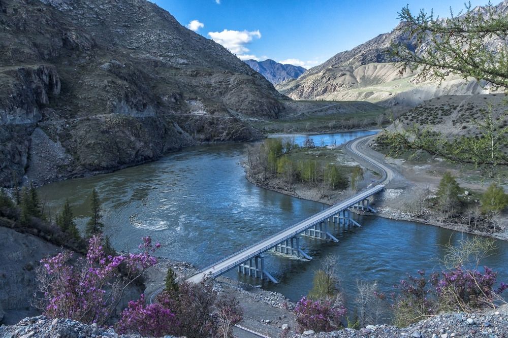 Мост через Катунь.