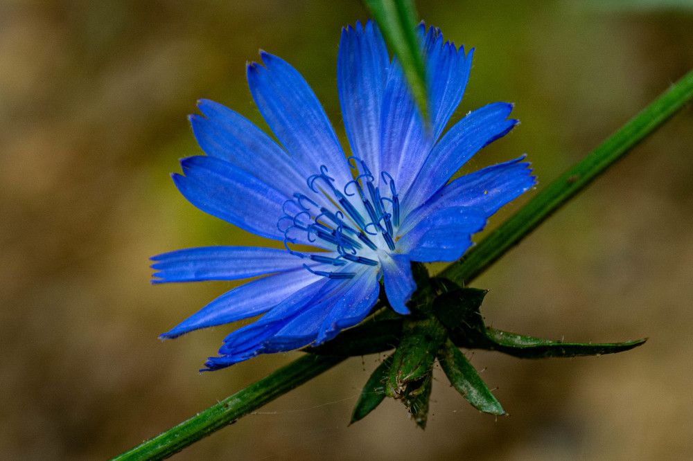 Photograph by Людмила