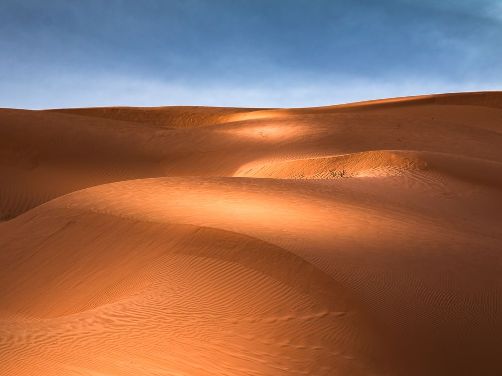 Photograph by Yanal Mufti