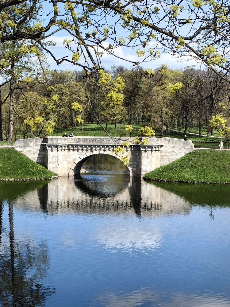 Photograph by Елена Акимова