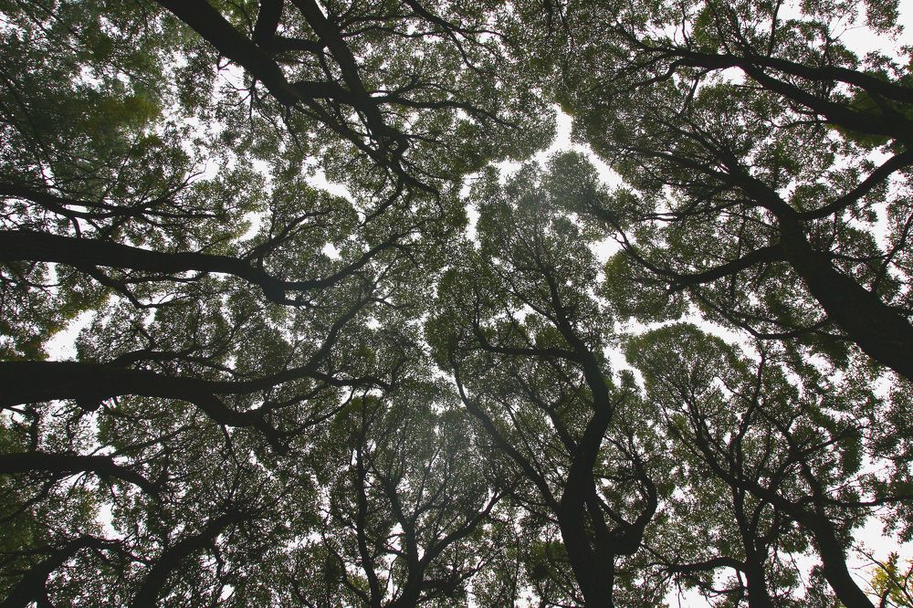 Photograph by Иван Овчинников