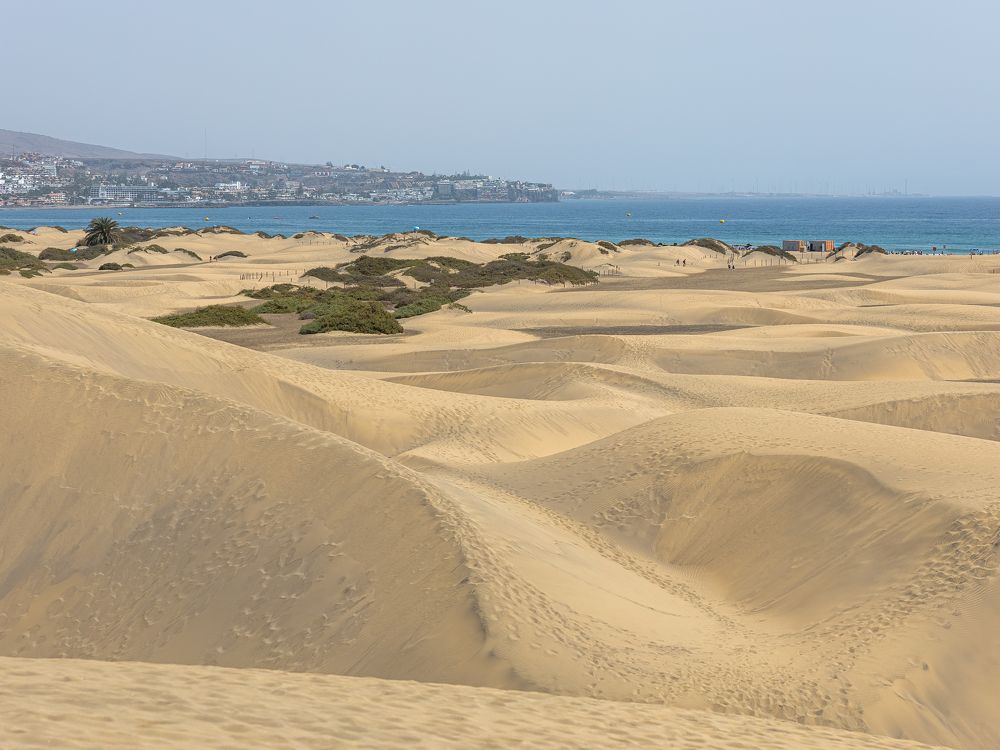 Фотография автора Dr_Plat