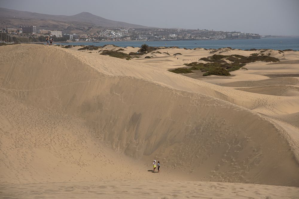 Фотография автора Dr_Plat