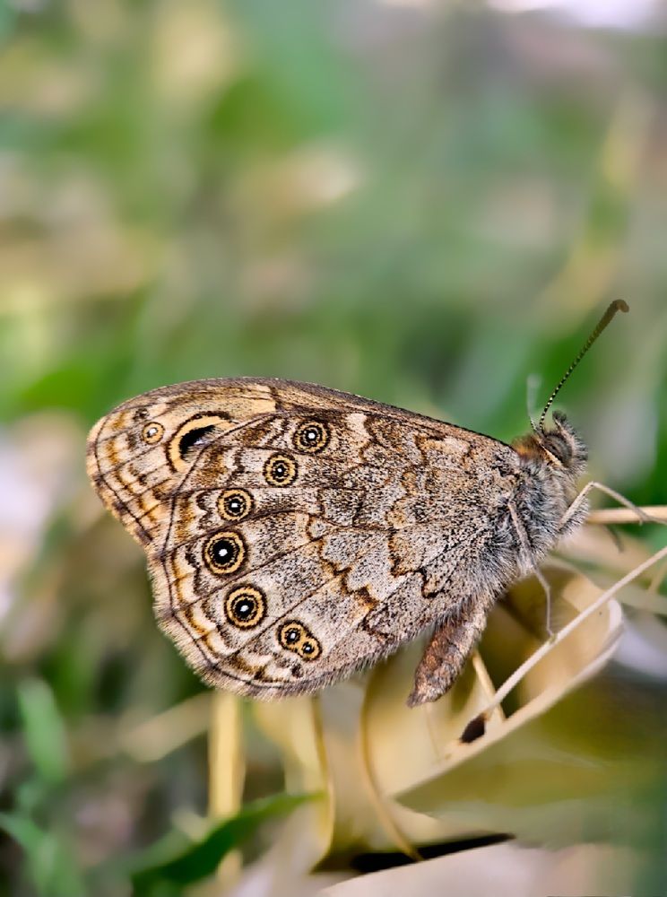 Photograph by Hannah Surji