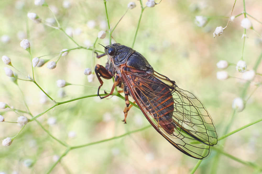 Photograph by Павел Сторчилов