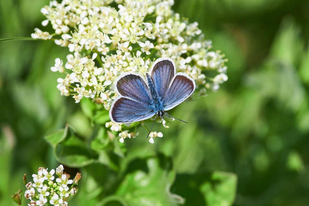 Photograph by Павел Сторчилов