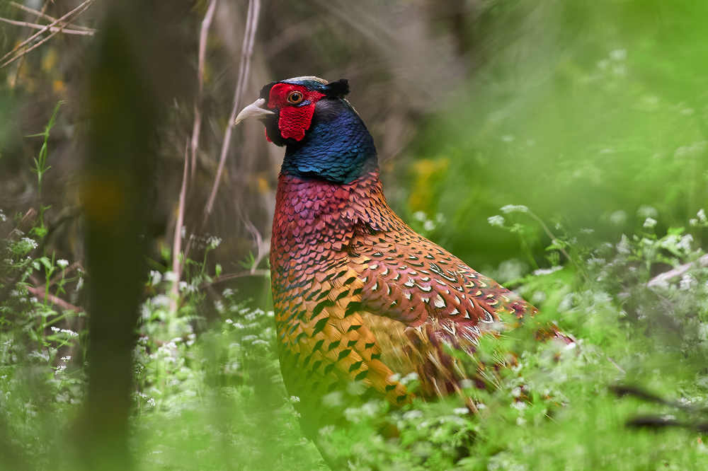 Photograph by Павел Сторчилов