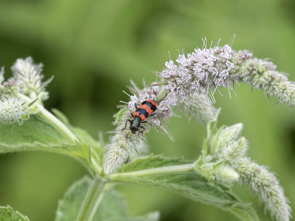 Photograph by Борис