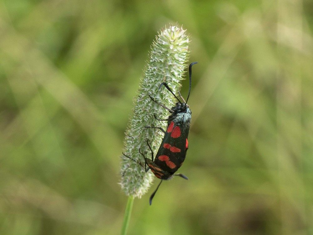 Photograph by Борис