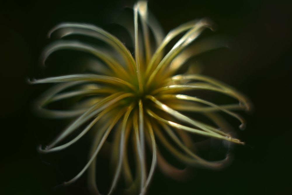 Photograph by Новкис Наталья