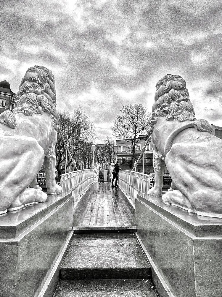 Photograph by Ирина Сорока