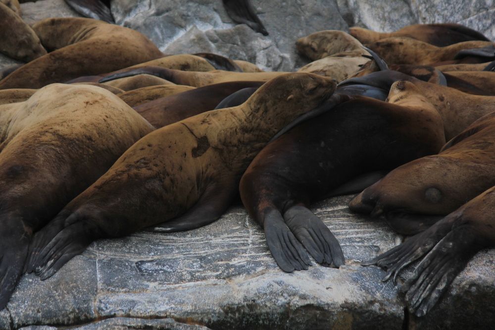 Фотография автора Вячеслав