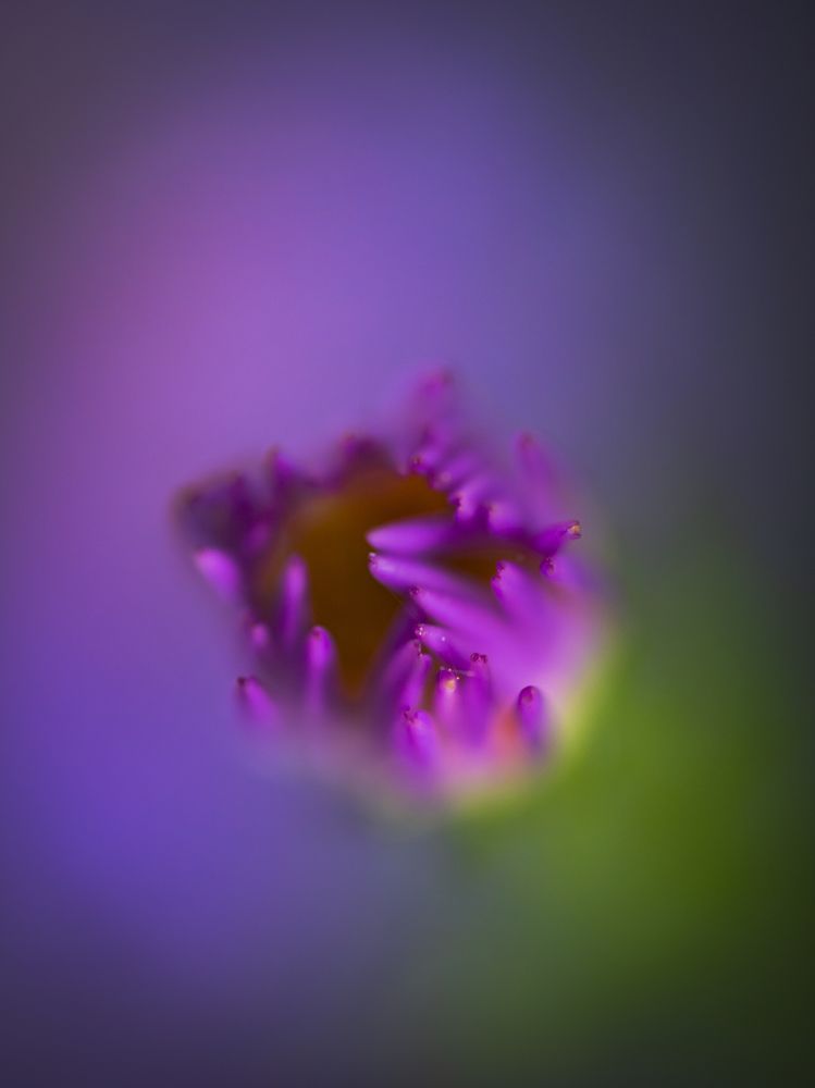 Photograph by Игорь Толкачев