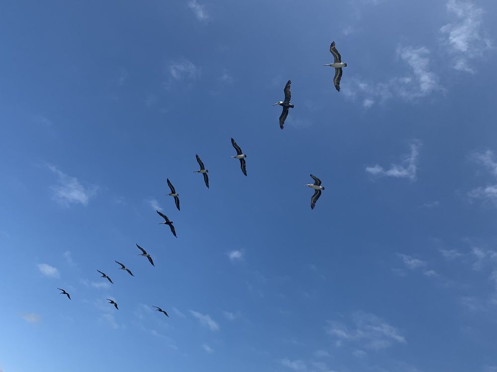 Photograph by Светлана Бодрединова
