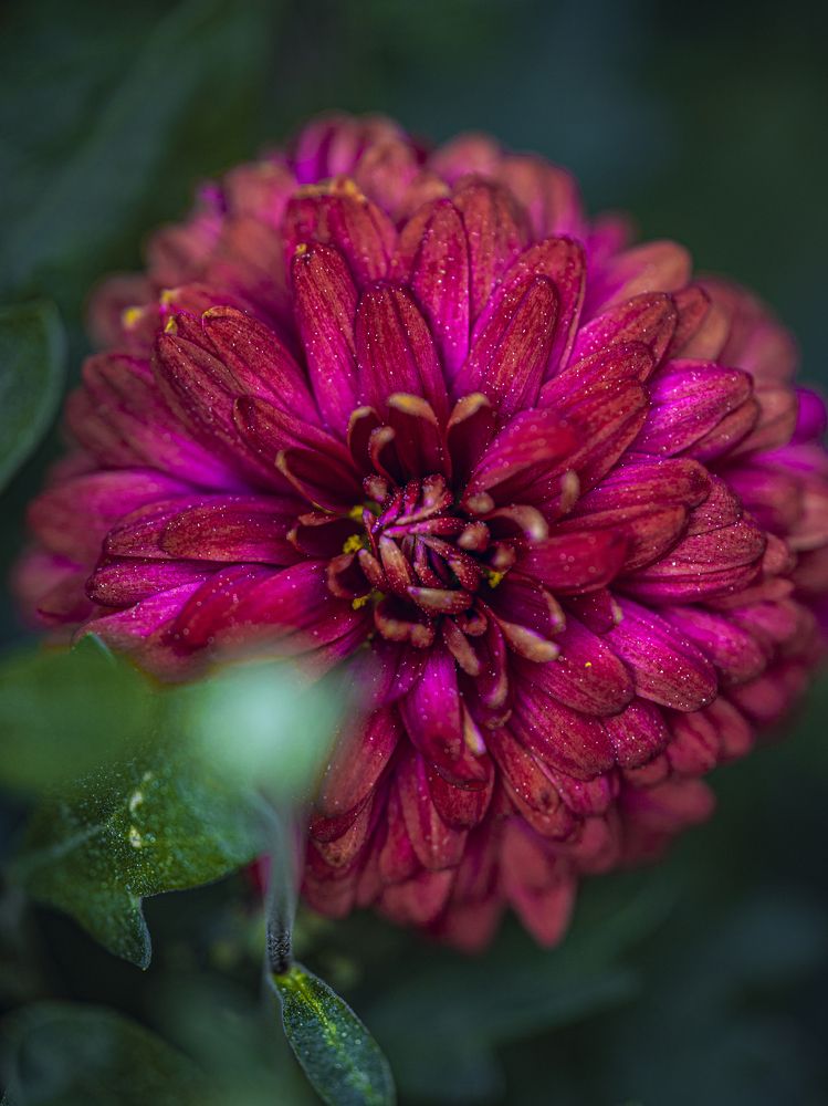 Photograph by Игорь Толкачев